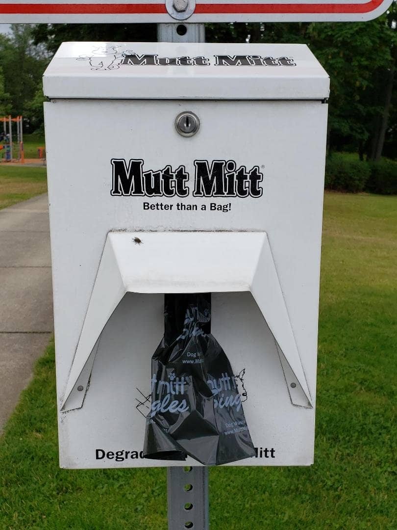 Spacious Green Fields