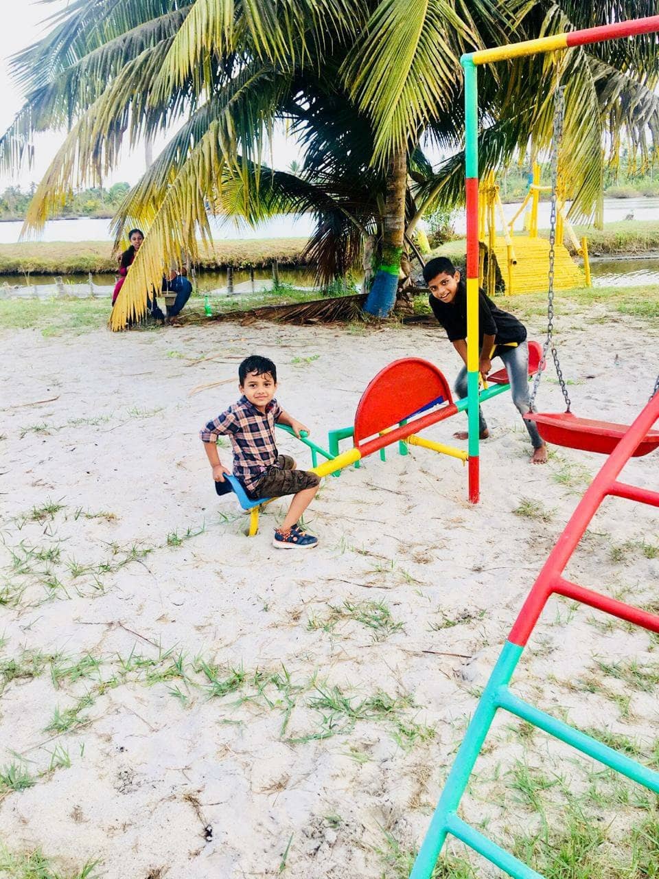 Backwaters Meet Sea