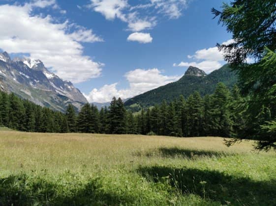 Val Ferret Valley Floor