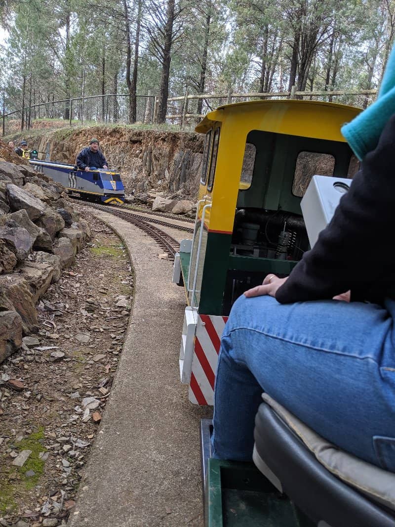 Friendly Volunteer Staff