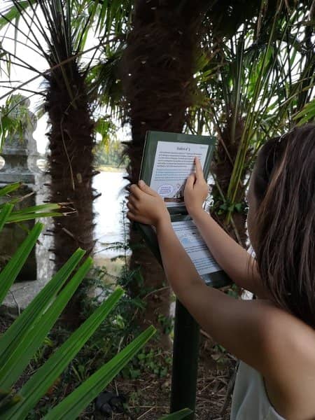 Neptune Pool & Aquatic Fun