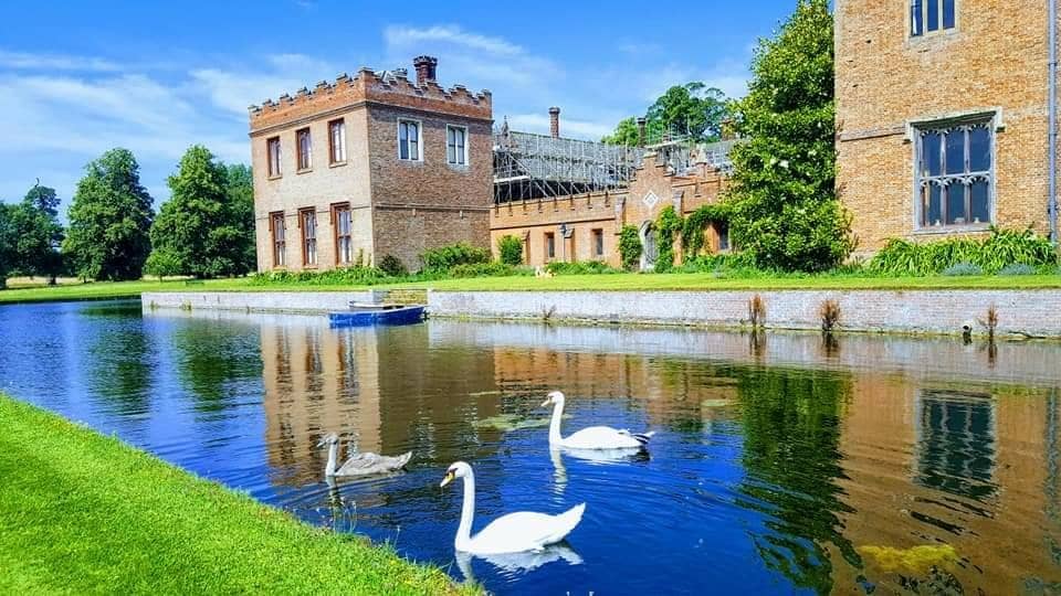 Bedingfeld Family History