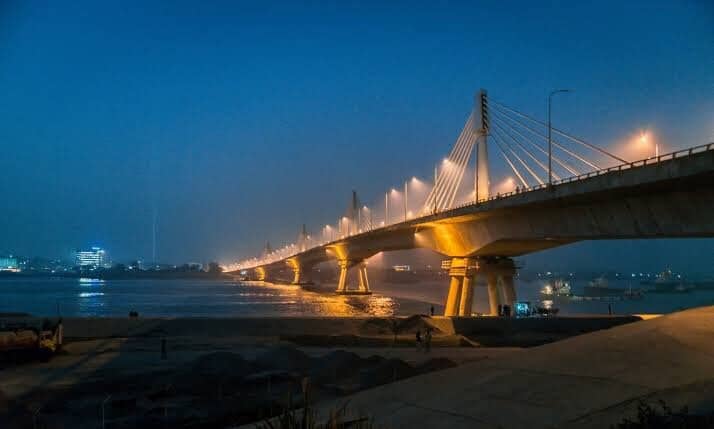 Diverse Animal Collection