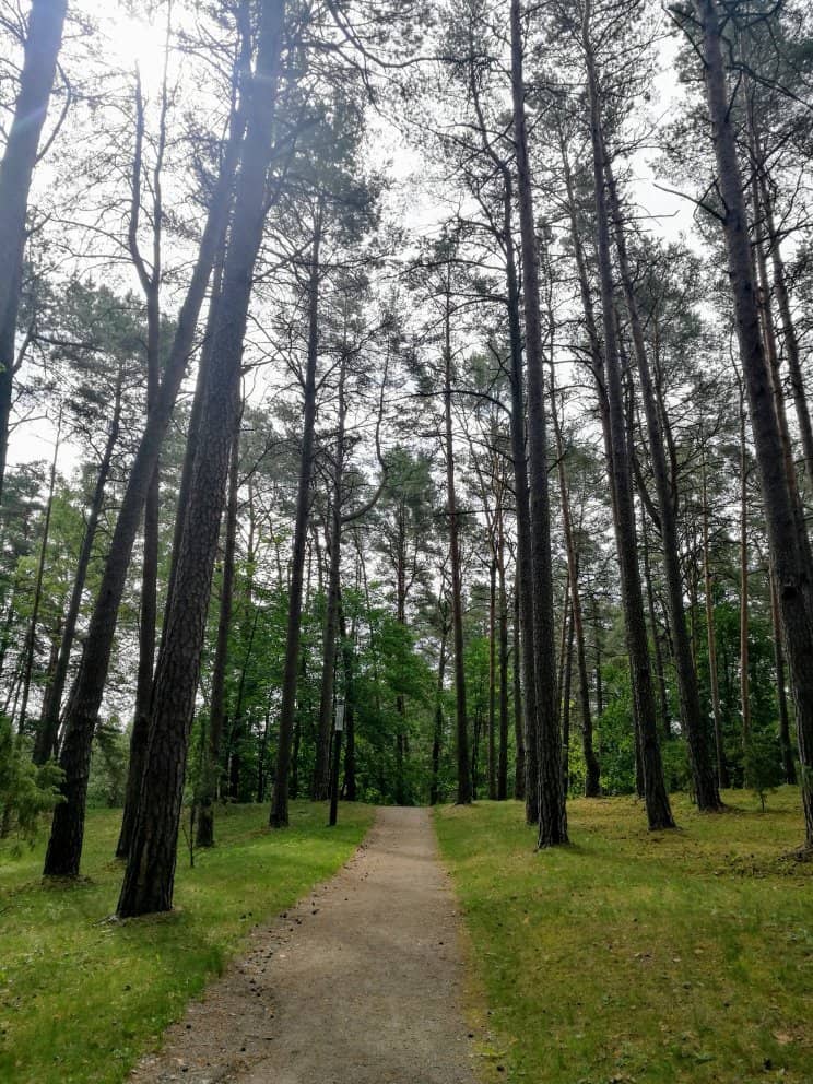 Children's Playgrounds