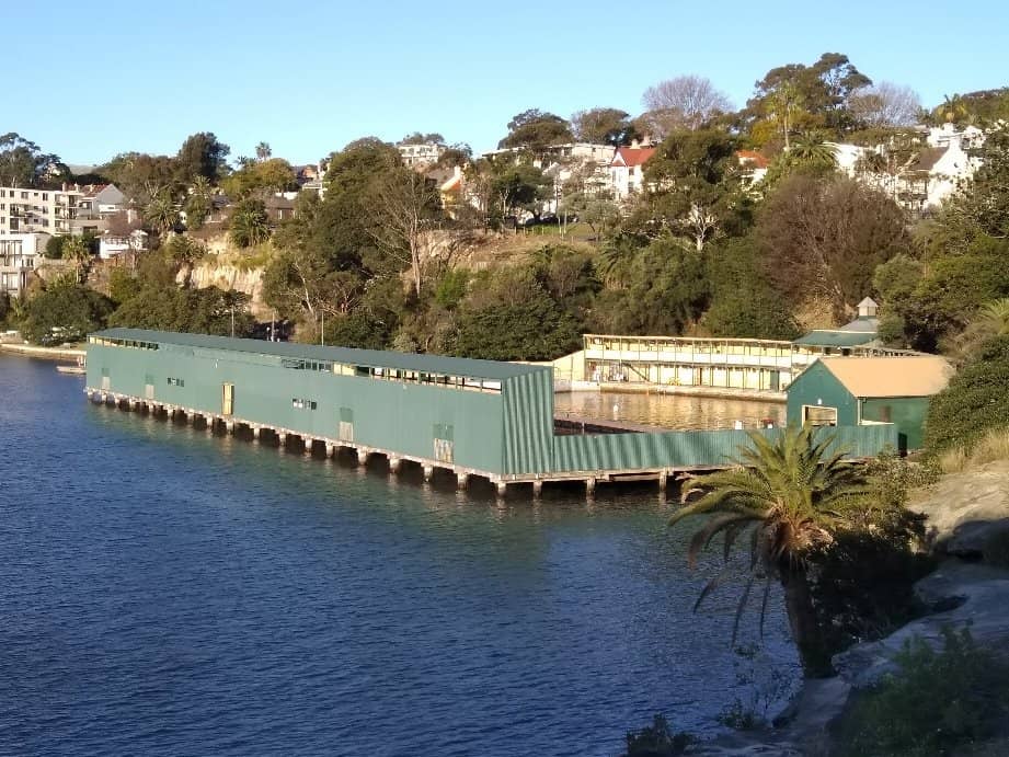 Abundant Marine Life