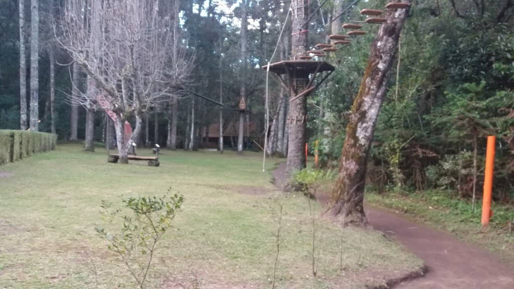 Atlantic Rainforest Trails