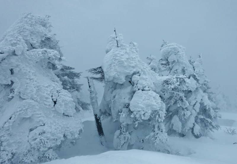 Cat Car Tours to Okama Crater