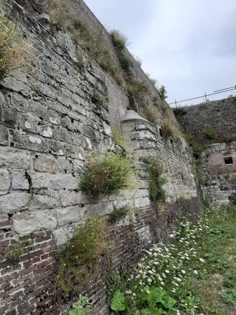 Rich Historical Exhibits