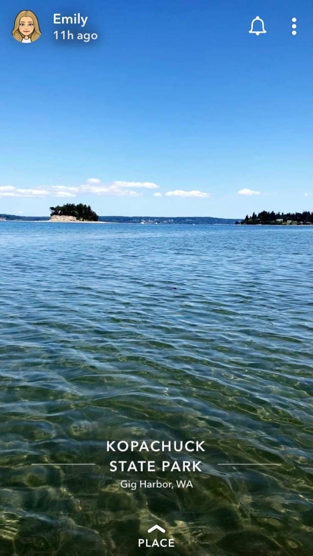 Henderson Bay Shoreline