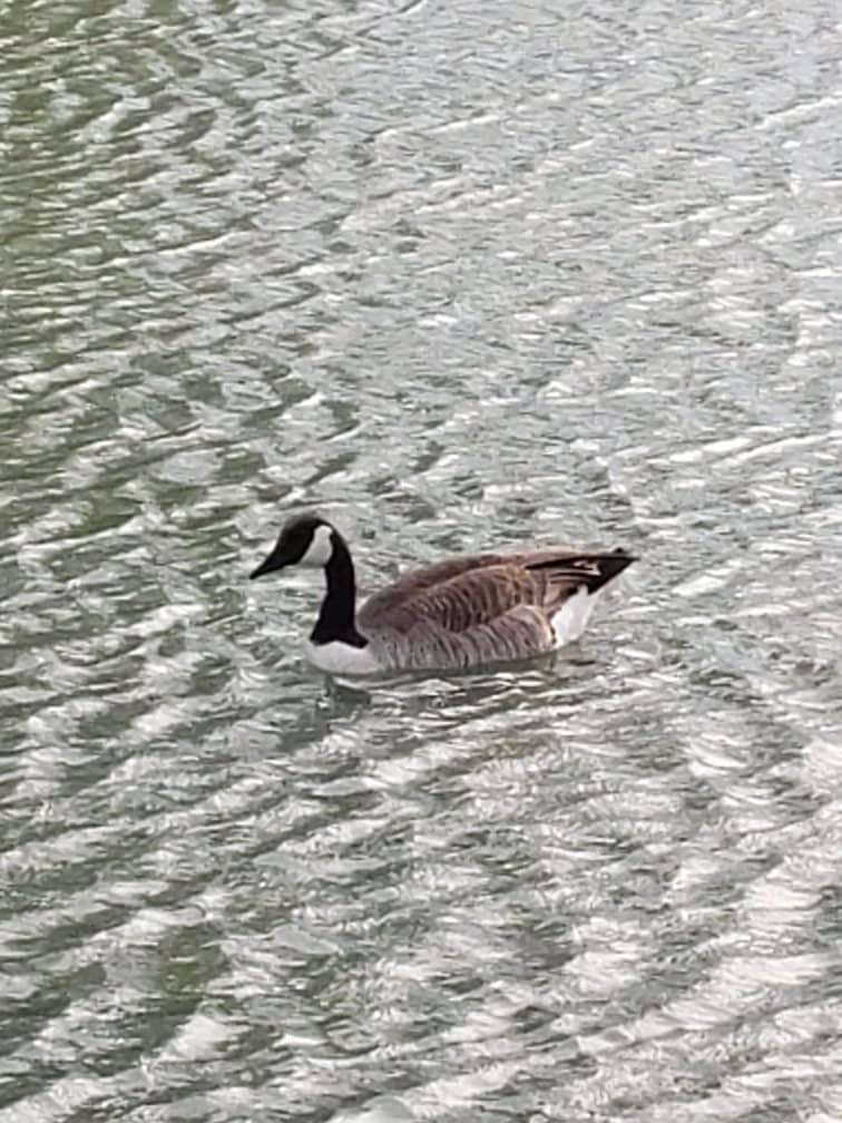 Interpretive Office & Museum