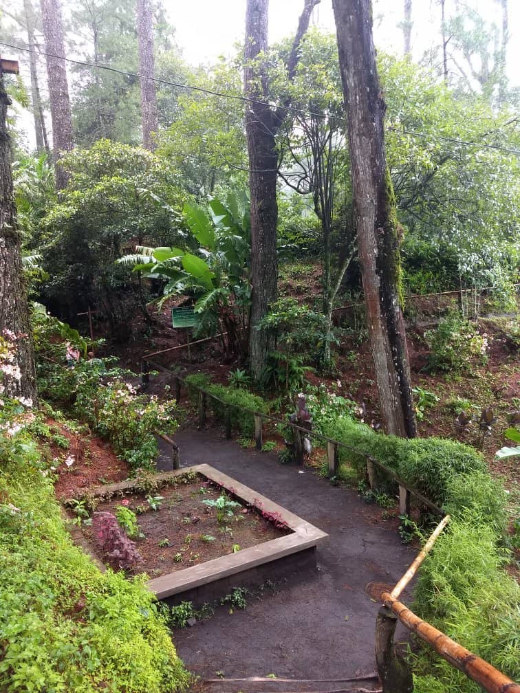 Volcano Museum