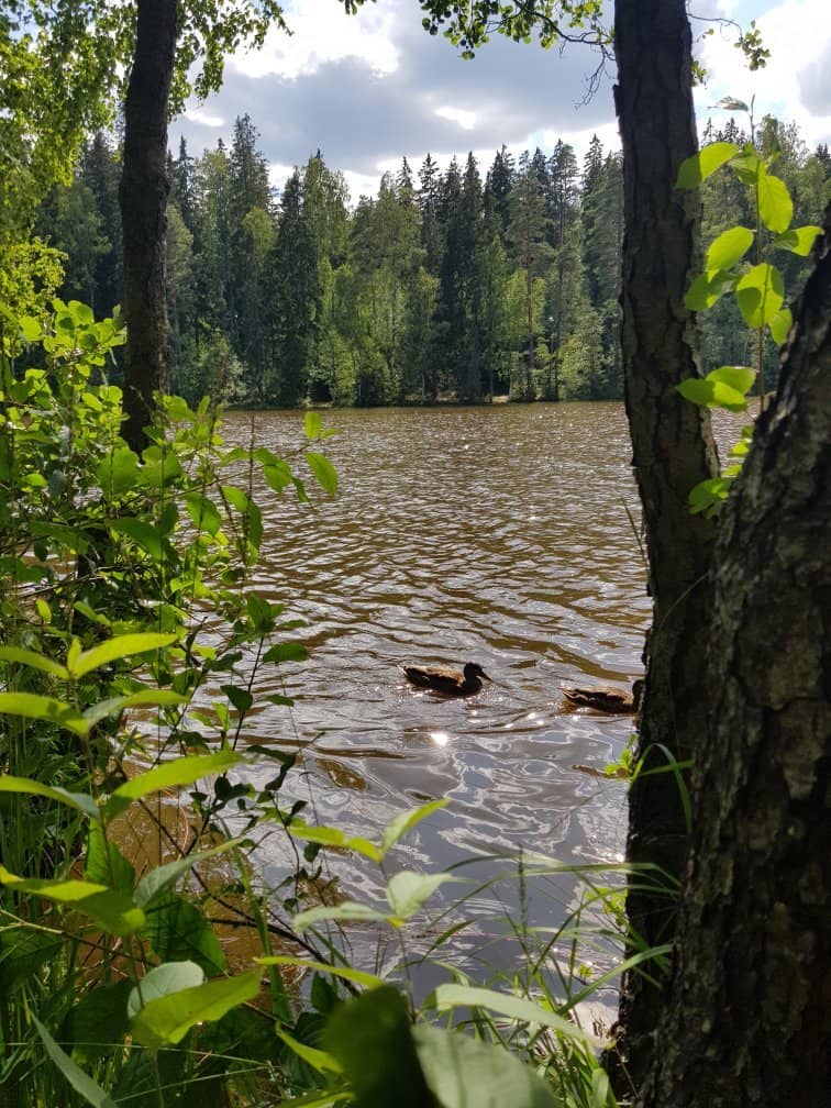 Lakeside Hiking Trails