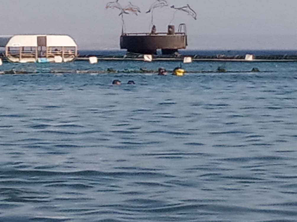 Beachside Relaxation