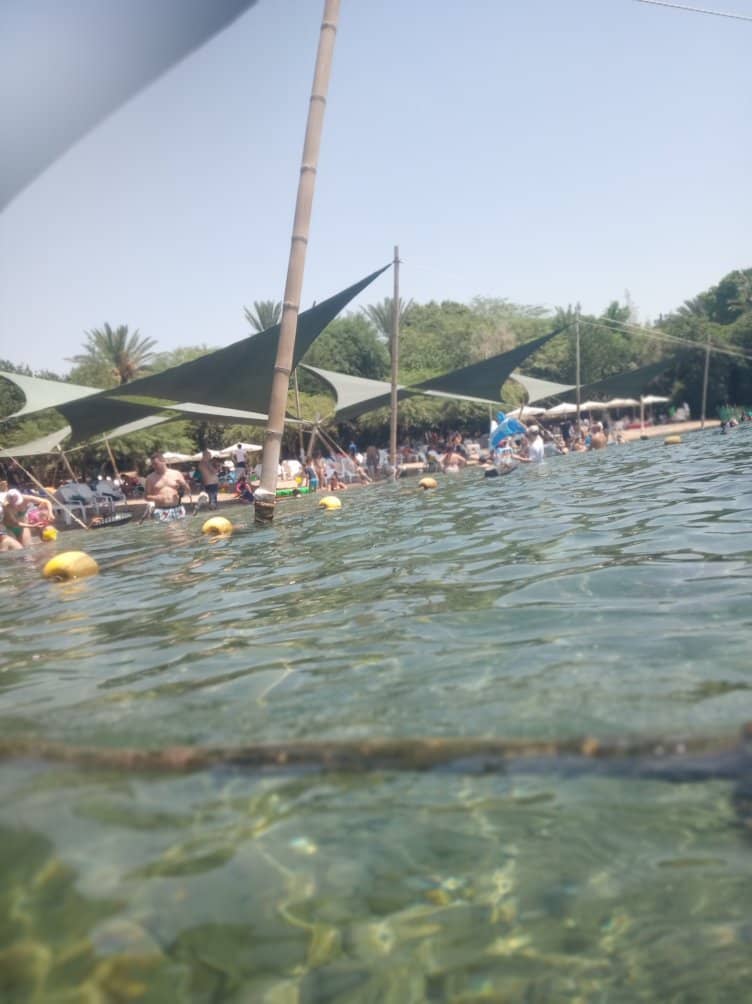 Dolphin Reef Experience