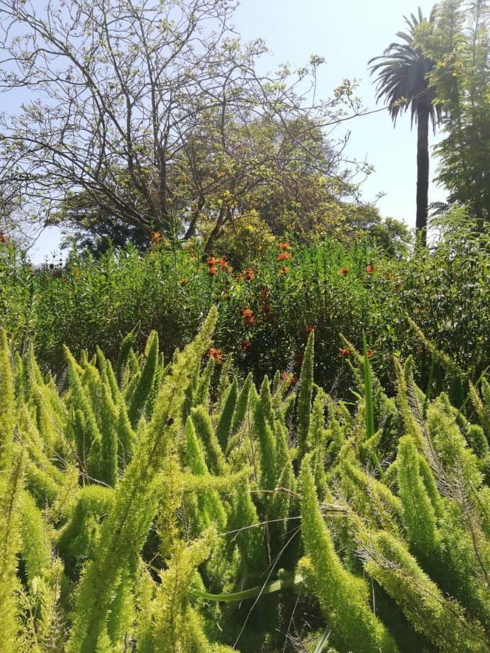 Children's Play Area