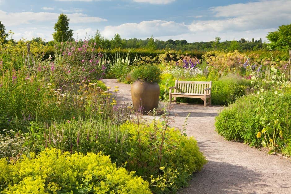 The Dry Garden