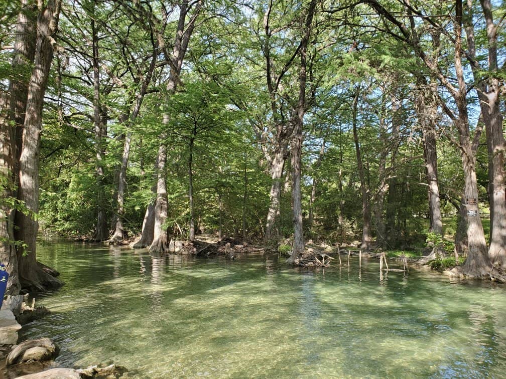 Stargazing at Dark Sky Project