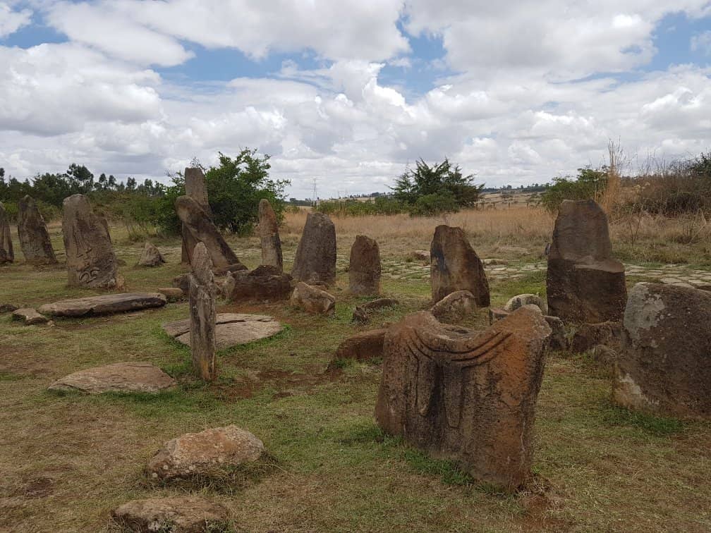 Local Guide Insights