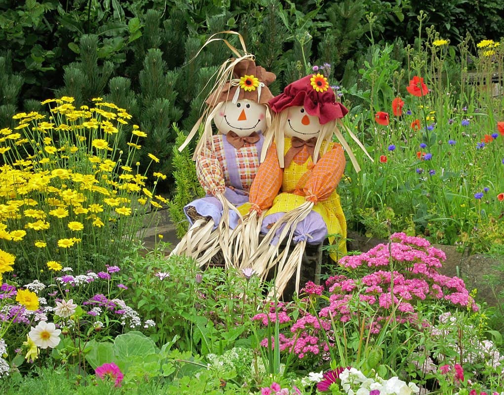 Fossil Room