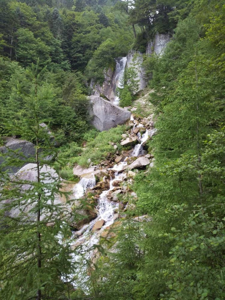 Vertical photo