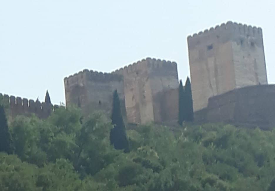 Delicious Spanish Cuisine