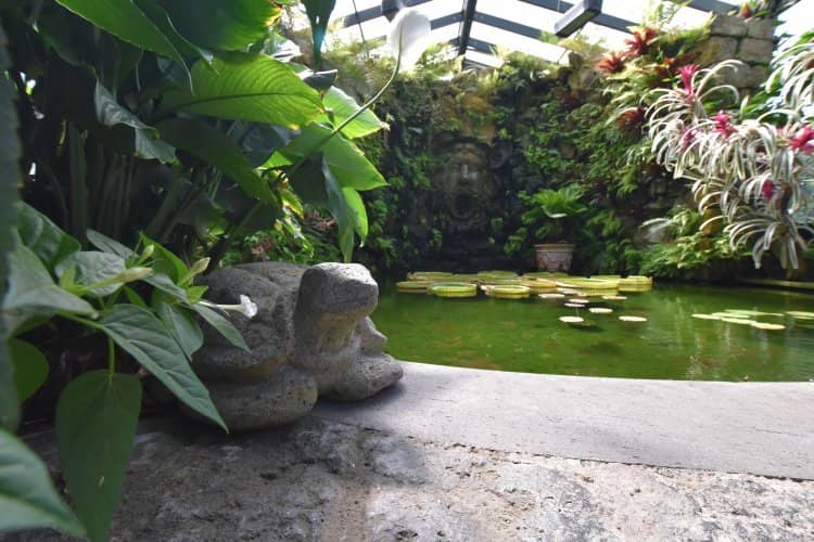 Water Features and Exotic Flora