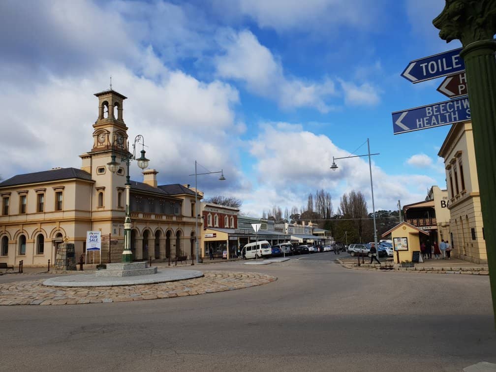 Art Installations (Seasonal)