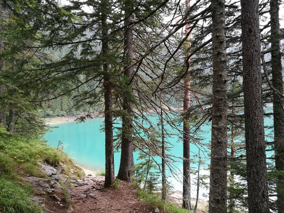 Pohorje Hiking Trails