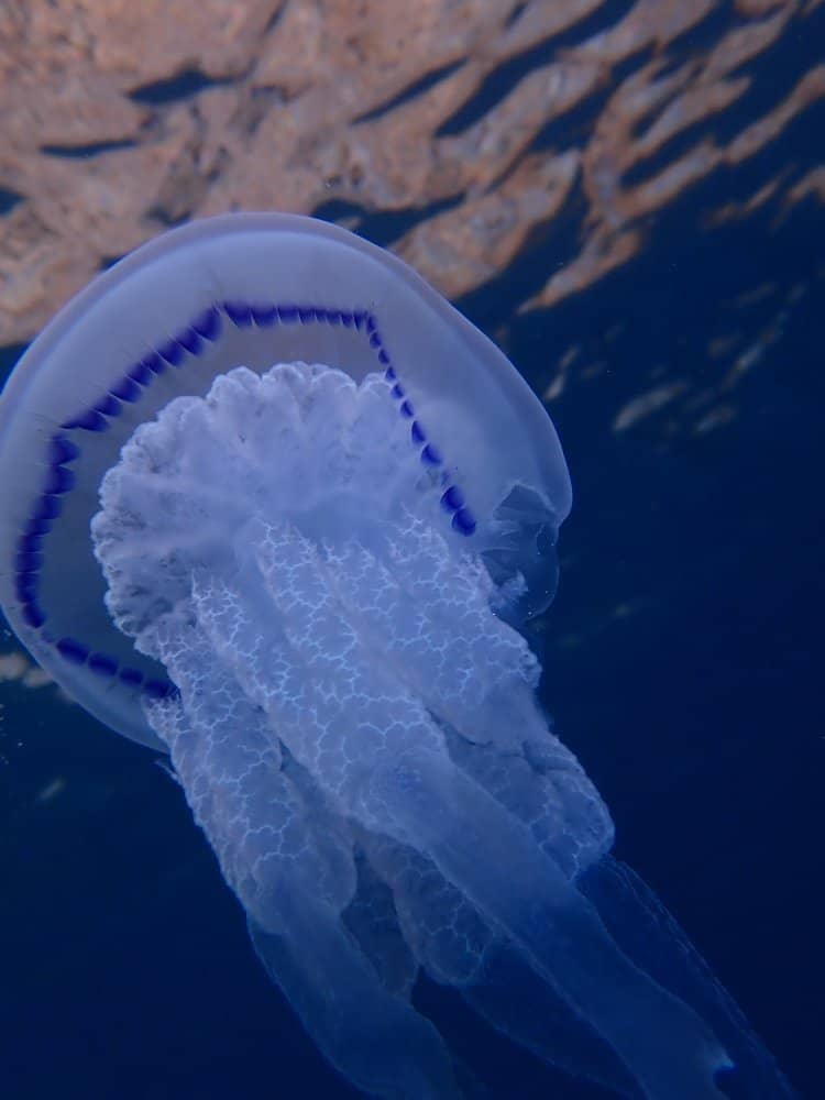 ZNMD Filming Locations