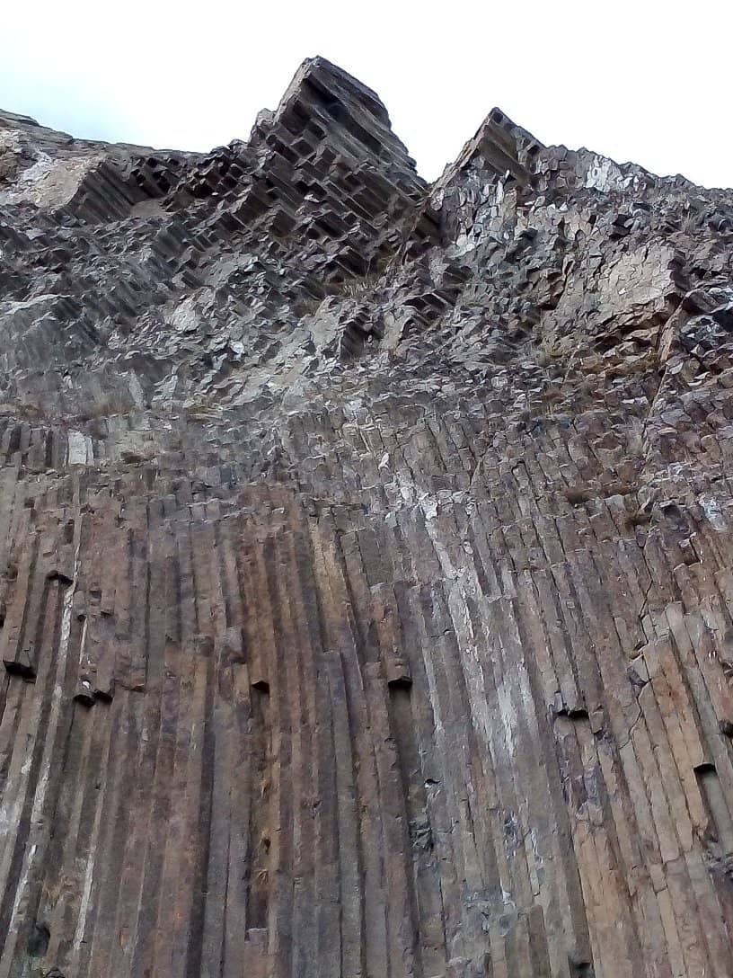 The Organ Pipes