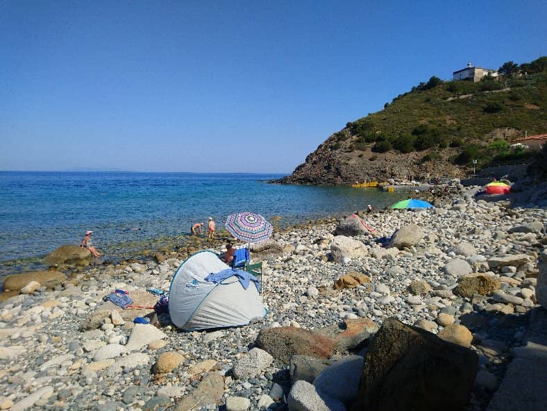 Rocky Shoreline Exploration