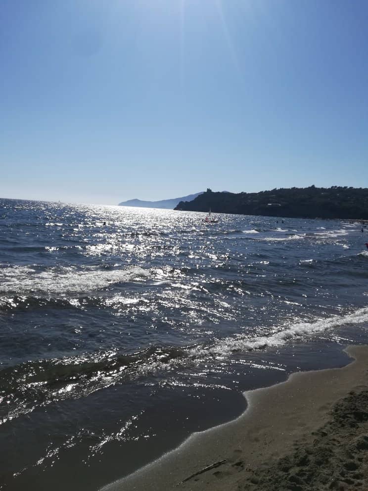 Surfer's Delight