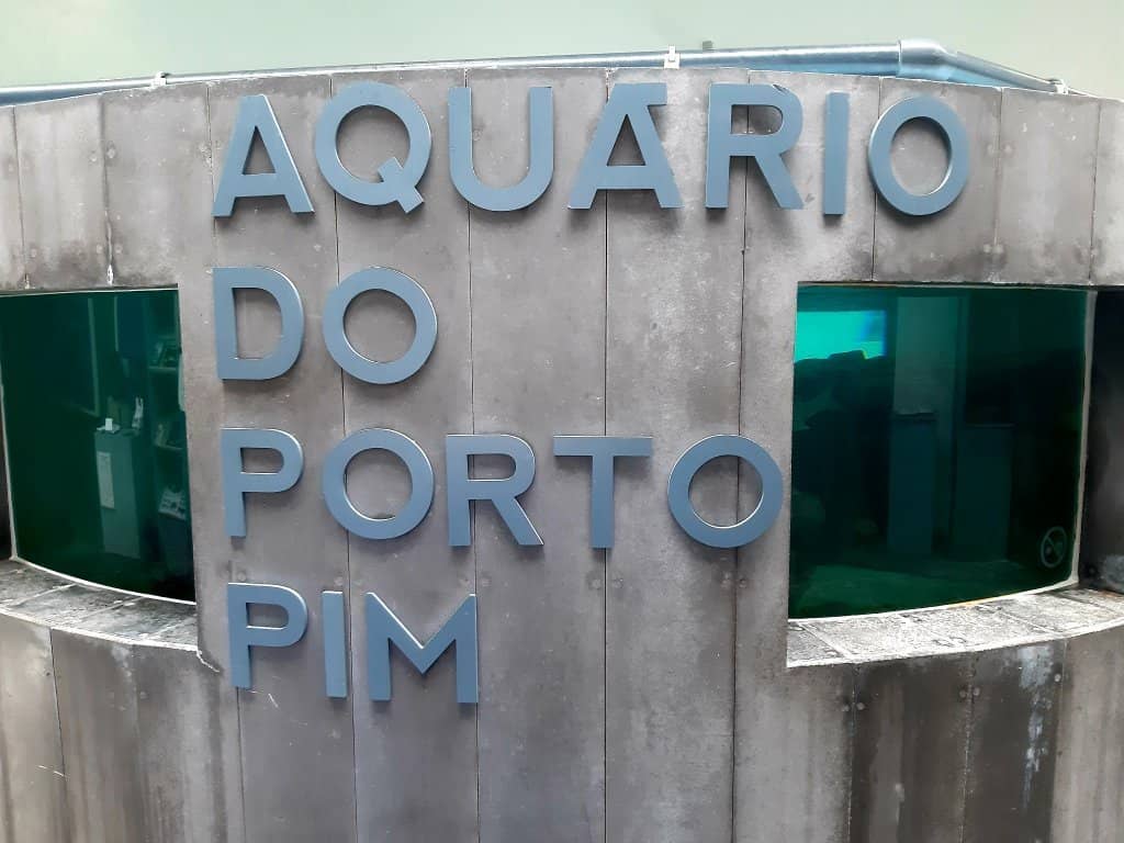 Marine Wildlife Rehabilitation