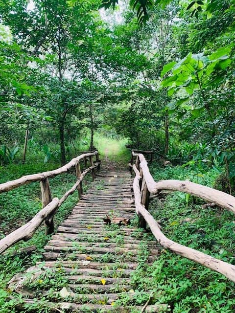 Nature Trails
