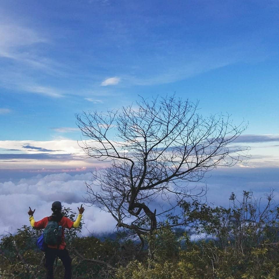 Local Produce Encounters