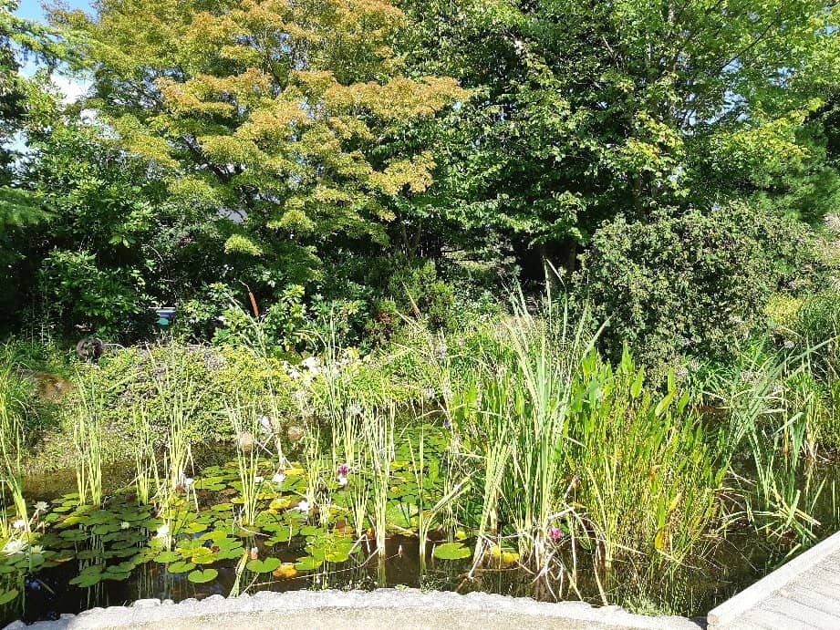 Botanical Gardens