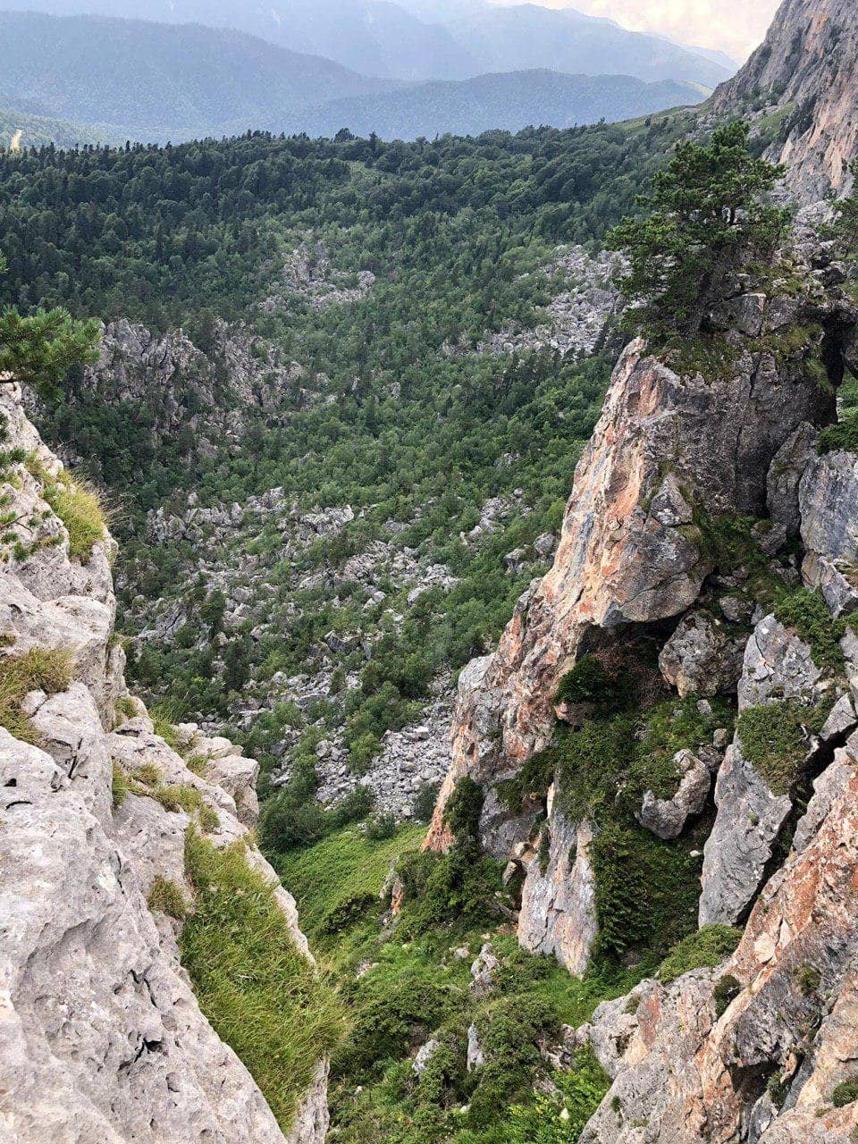 Vertical photo