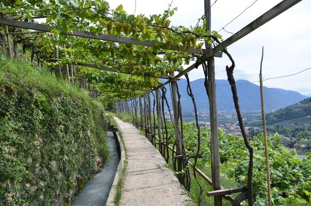 The Historic Irrigation Canal