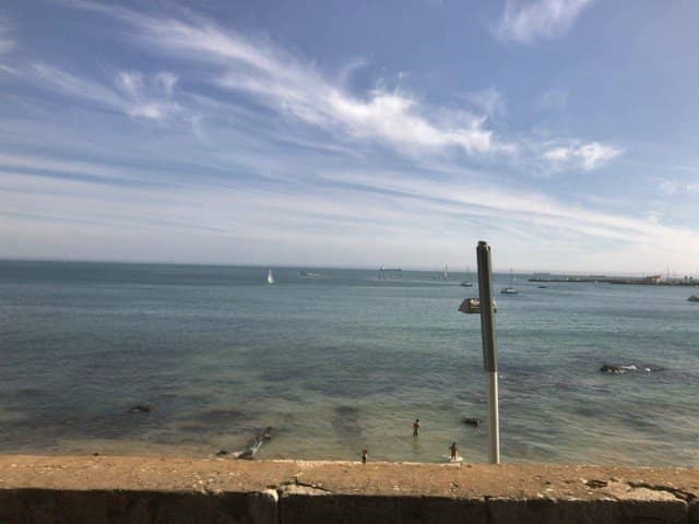 Oyster Island Excursions