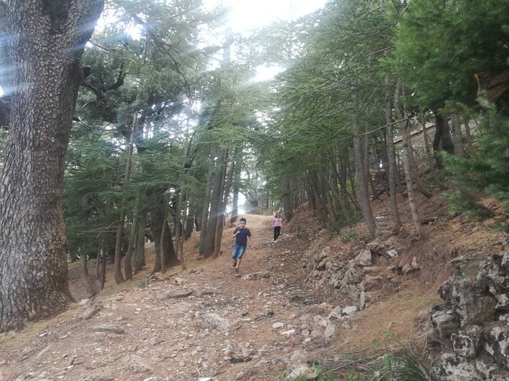 Lake Akfadou (Black Lake)