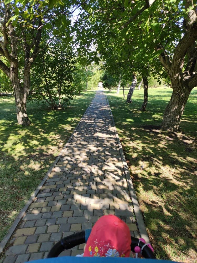 Labyrinthine Paths