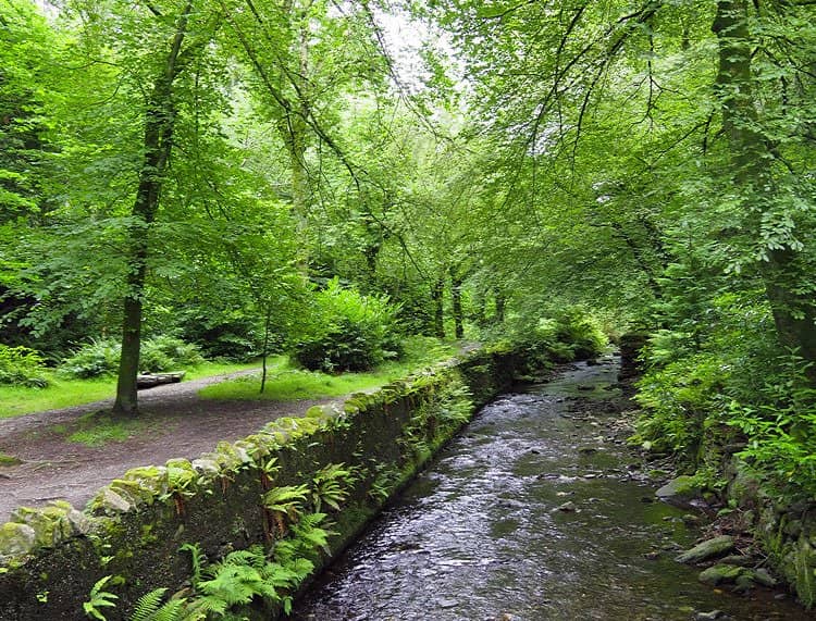 Beautiful Natural Setting