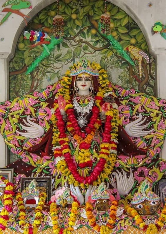 Devotional Aarti and Kirtan