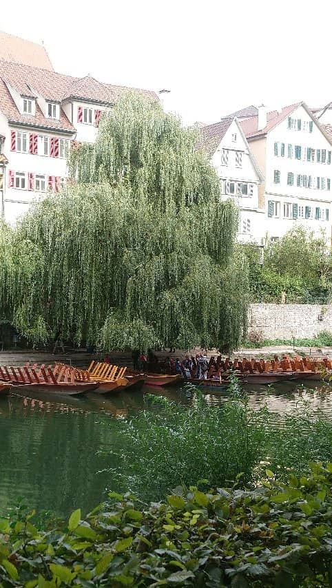 Neckarfront Reflections