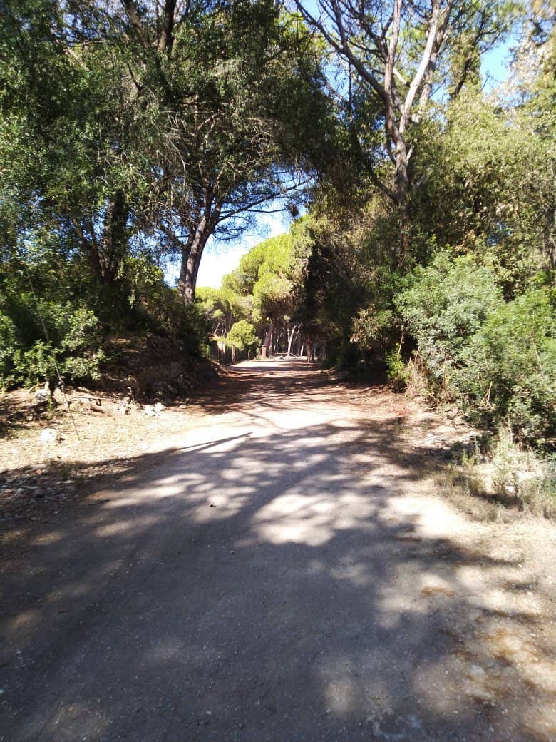 Cycling the Tombolo