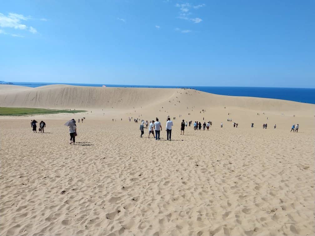 Sand Museum Marvels
