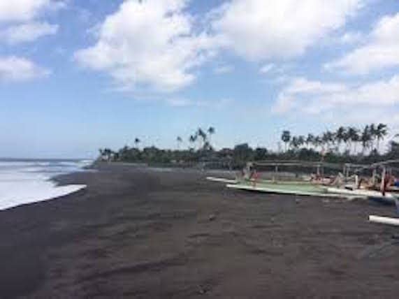 Black Sand Shores