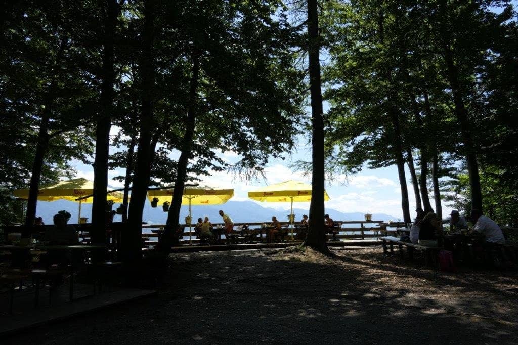 Adventure Park Thrills