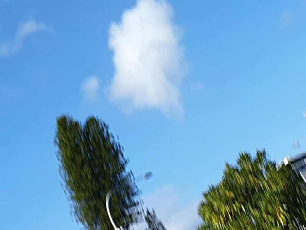 Vertical photo