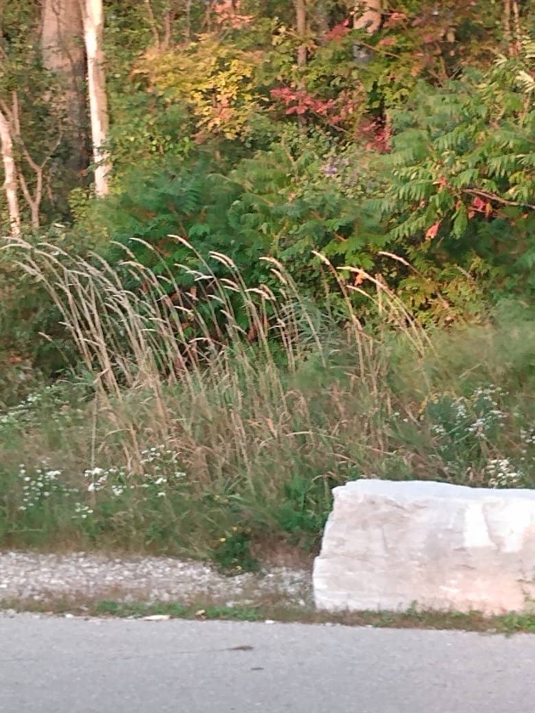 Panoramic City Views